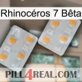 Rhinocéros 7 Bêta 25